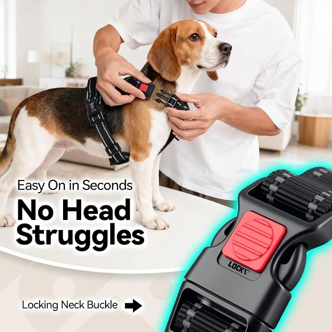 No Pull Dog Harness with Handle Front & Back Clip, Easy on | Lockable Snap Buckle at Neck, Adjustable Reflective Vest with Handle for Small Medium Large Dogs (XS, Misty Green)