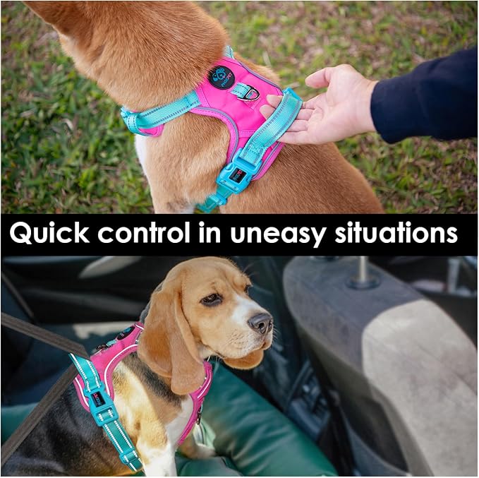 No Pull Dog Harness, Unique Colors Reflective Adjustable Dog Vest, with Soft Training Handle Metal Clips for Small Medium Large Dogs (Pink Base & Green Straps,S)