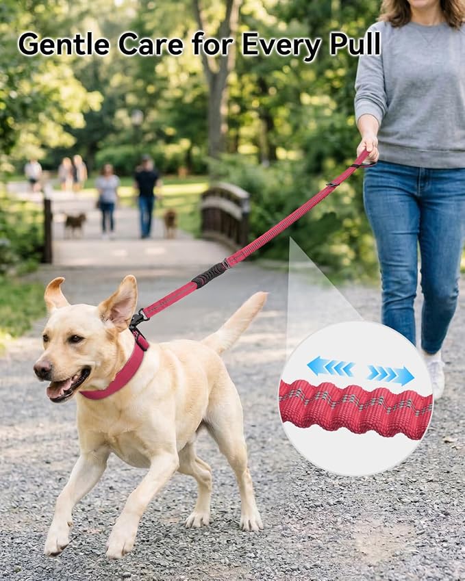 Joytale Tactical Bungee Dog Leash, Shock Absorbing No Pull, Hot Pink | For Large Dogs That Pull, 2 Padded Handles for Control, Car Seatbelt Clip, Reflective for Night Safety, Metal Frog Clip