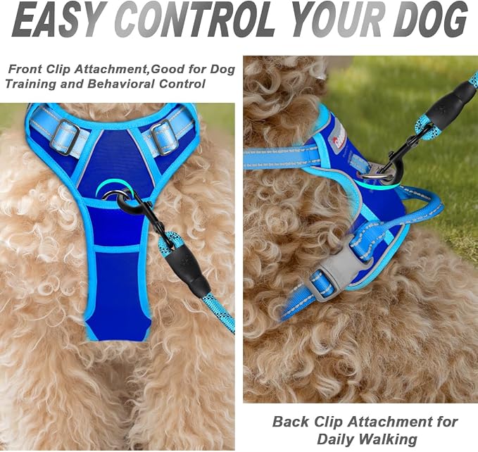 BARKBAY Dog Harness No Pull for Small Sized Dog Front Back Clips,Dog Vest | Soft Padded No Choke With Handle,Easy On&Off,Adjustable Reflective For Walking Training Running(Sapphire Blue & BlueXS)