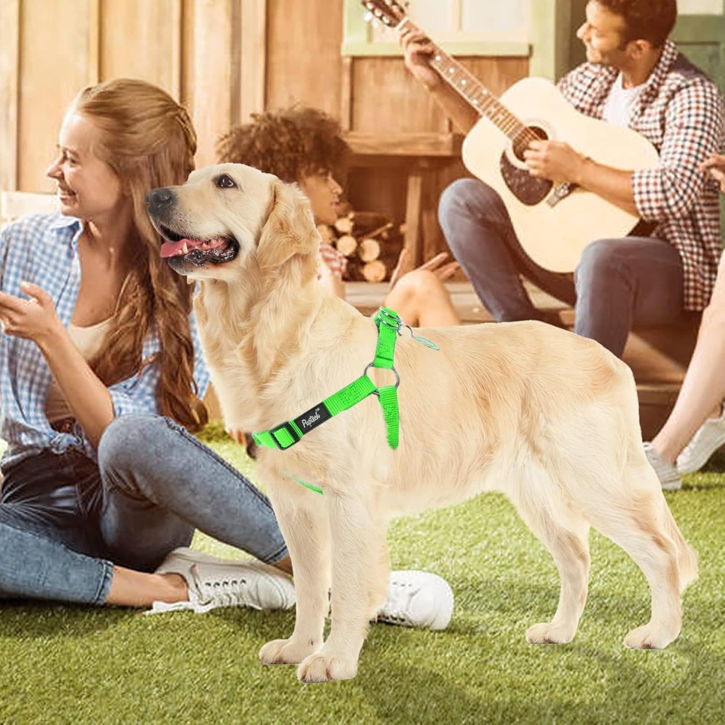 PUPTECK No Pull Dog Harness Soft Adjustable Basic Nylon Step in Puppy Vest Outdoor Walking with ID Tag, Green, L