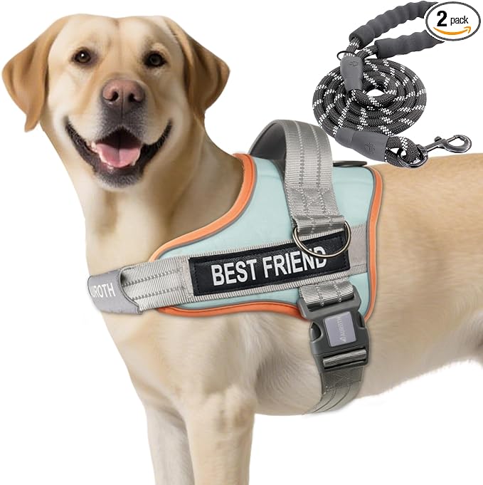 AUROTH Dog Harness and Leash Set for Large Sized Dog, No Pull Dog Vest | with Leash Clips, LED light clip, Soft Padded No Choke, Escape Proof, Easy Walking and Training, Macaron Blue, XL