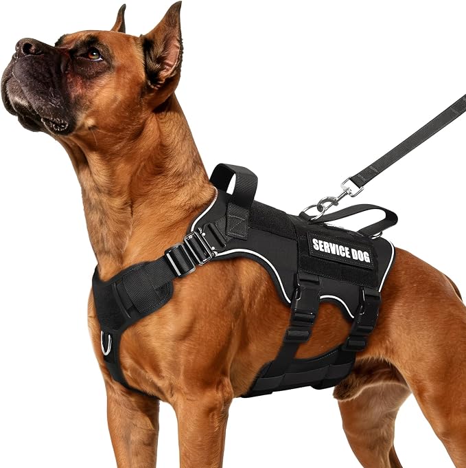 Tactical Dog Harness and Leash Set with Metal Buckles+10 Patches | Heavy Duty Service Dog Vest ,Adjustable Harness for Medium Sized Dogs,No Pull Front Back Clips,for Training Hiking,Black M