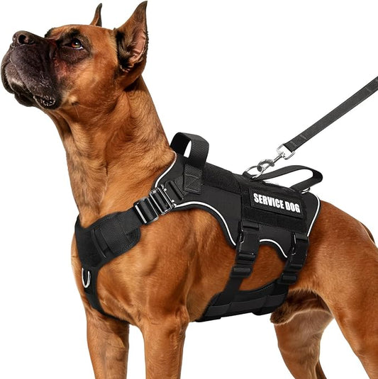 Tactical Dog Harness and Leash Set with Metal Buckles+10 Patches | Heavy Duty Service Dog Vest ,Adjustable Harness for Large Sized Dogs,No Pull Front Back Clips,for Training Hiking,Black L
