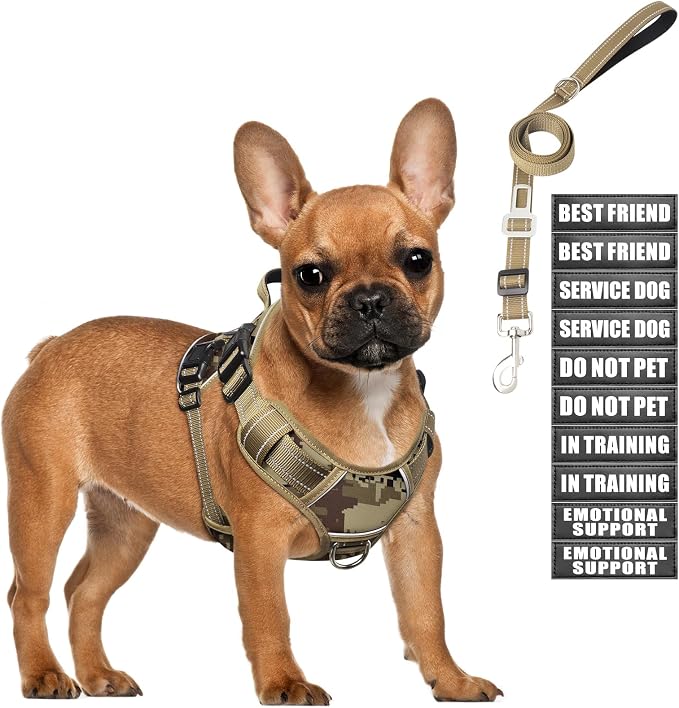 Tactical Service Dog Vest and Leash Set with 10 Patches Camo S | Adjustable No Pull Service Dog Harness for Small Sized Dog with Dog Seat Belt,Reflective Easy Walk for Training Hiking