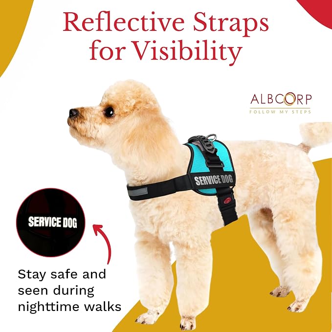 Service Dog Vest Harness – Reflective Service Animal Vest, No-Pull Harness with Handle & Mesh Padding – Sizes XXS-XL for Puppies – 2 Removable Service Patches Included (Small, Blue)