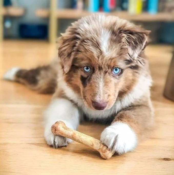 Nylabone Healthy Edibles Natural Dog Chews, Long Lasting Bones for Dogs, Roast Beef & Chicken Flavor Dog Treats, X-Small (34 Count)