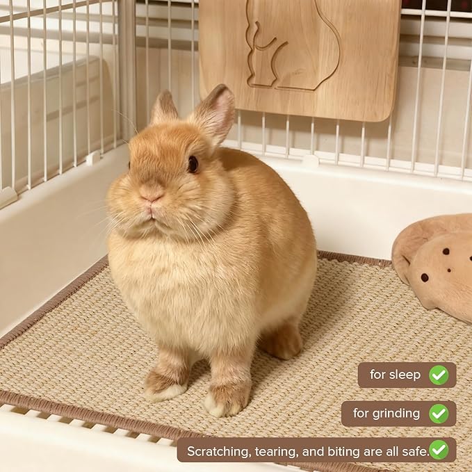 Rabbit Scratching Pad, 16 X 12 Inch Natural Sisal Bunny Scratching Pad Claws Mat, Natural Rabbit Foraging Mats for Cages, Indoor Bunny Toys Accessories for Sleeping Resting - 2pcs