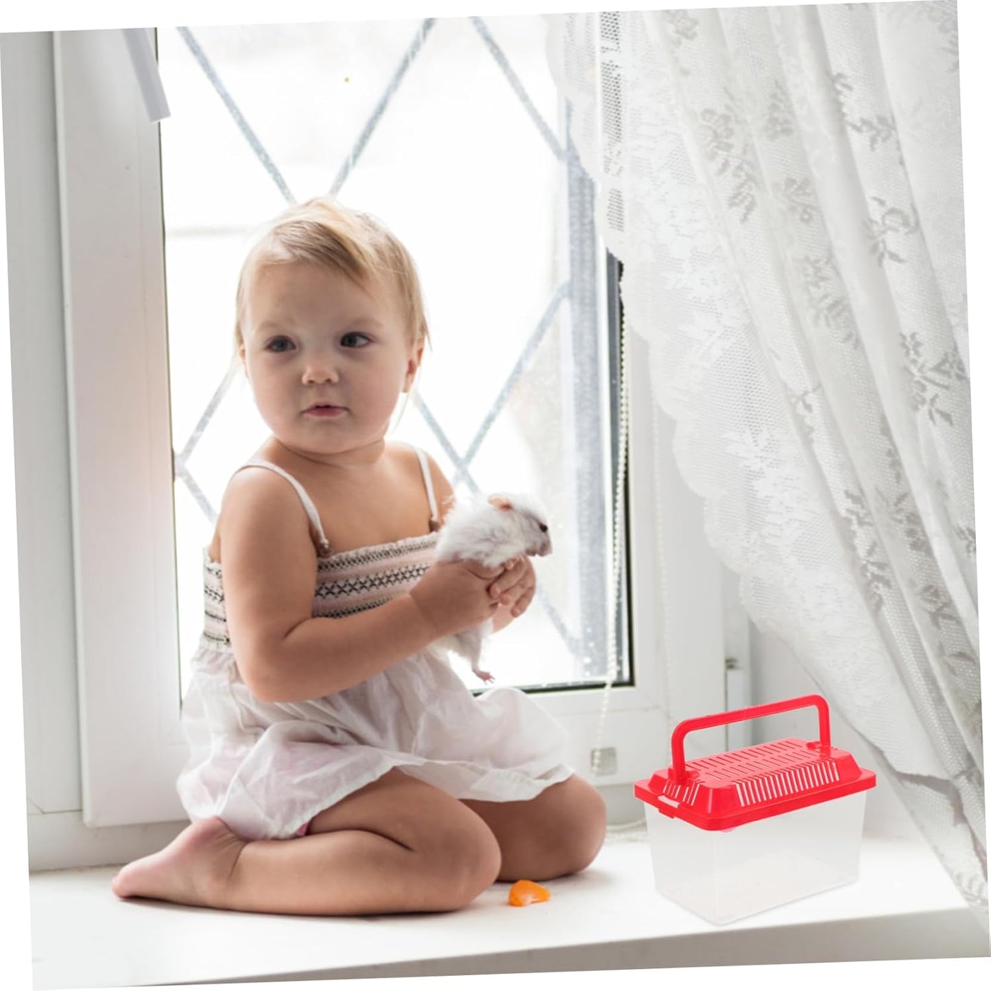 Transparent Plastic Turtle Fish Tank, Reptile Carrier, Feeding Tank, Glass Containers, Amphibia Container, Terrarium, Hamster Cages, Reptiles Commodity Mini