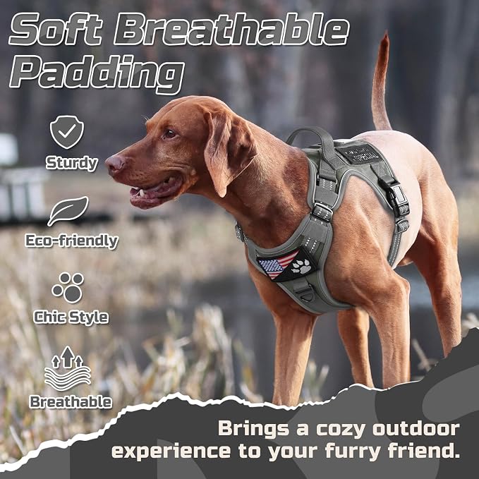 rabbitgoo Tactical Dog Harness for Large, No Pull Military Service Vest | Molle & Handle, Heavy Duty, Adjustable, Reflective Straps, Easy Control for Training Walking, Grey, Large