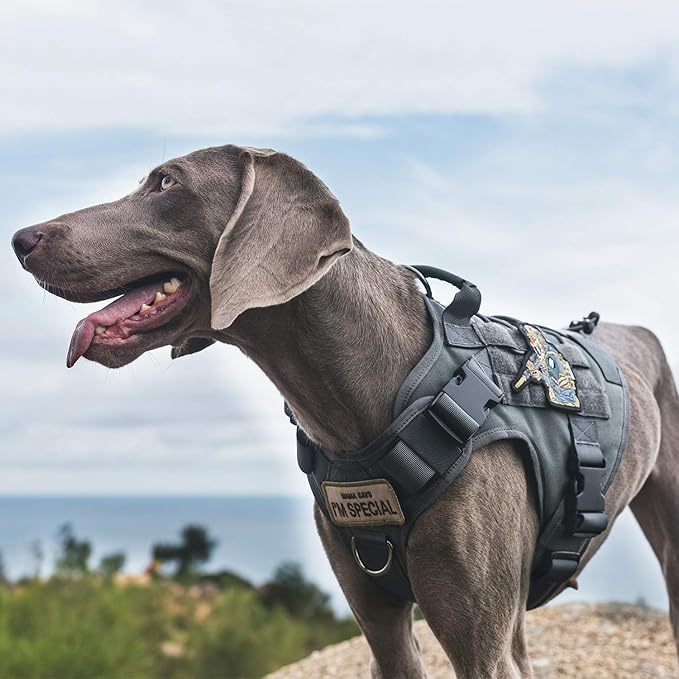 OneTigris Tactical Dog Harness Vest No-Pull Service Dog Vest for Small Dogs | 1000D Pullable Nylon, with Control Handle and Hook & Loop Panels, Easy On & Off, Adjustable for Walking Training Gray XXS