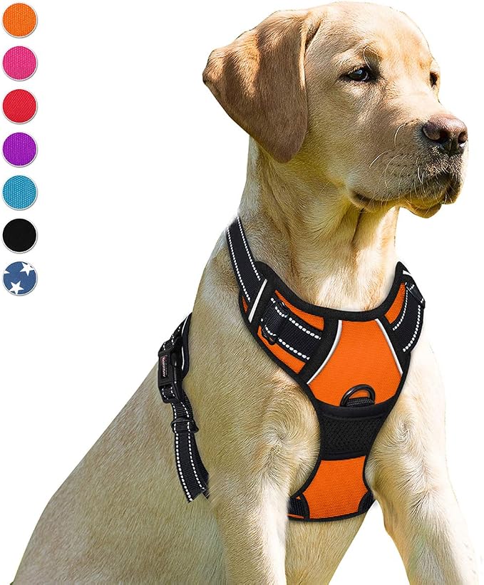 BARKBAY Dog Harness No Pull for Medium Sized Dog Front Back Clips,Dog Vest | Soft Padded No Choke With Handle,Easy On&Off,Adjustable Reflective For Walking Training Running(Orange,M)