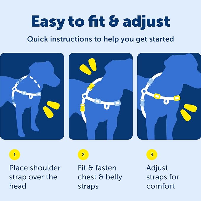 Petsafe Deluxe Easy Walk Harness, Large, Ocean Blue, EWH-D-HC-L-OCN | Padded Neoprene Straps, Reflective Strips for Night Safety, Martingale Loop Curbs Pulling from the Chest, Not the Throat