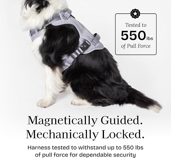 Fei & Eve Classic Dog Harness, MagEase Magnetic Buckle | 3-Point No-Pull Control, Dual Handle Support, 900D Nylon, Tactical Patch Panel, Heavy Duty, X-Large, Gray