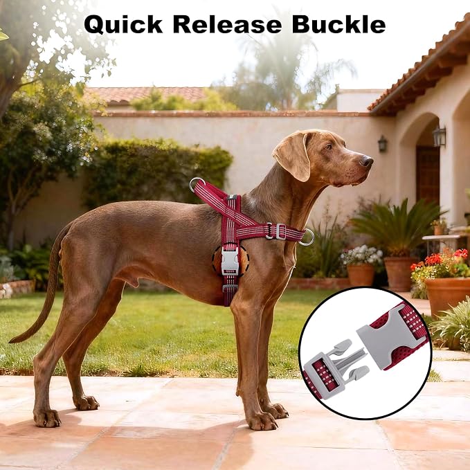 No Pull Dog Harness with Handle, Adjustable Soft Mesh Padded Vest | Reflective Walking Harness with Front Clip for Small Medium Large Dogs, Quick Fit No Escape for Training, Red, M
