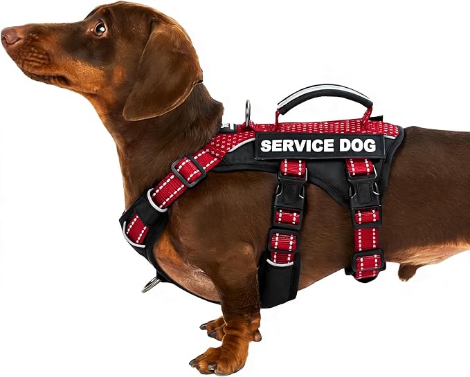 Service Dog Vest Harness, Escape Proof Harness with 6 Patches, No-Pull, Reflective Harness with Handle, Adjustable for Small to Large Dogs, for Training and Hiking (Red, S)