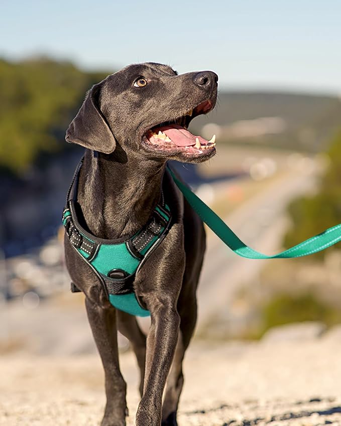 Joytale No Pull Dog Harness for Large Dogs, Front Clip, Teal | Grab Handle for Instant Control, Padded & Adjustable Vest, Sturdy Metal D-Rings, for Safe Training & Daily Walking