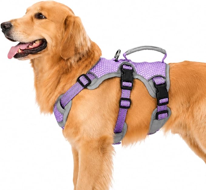 Escape Proof Dog Harness, Dachshund Harness, Reflective Dog Harness with Handle, Durable,Adjustable Vest for Small Medium Large Dogs Walking, Training, and Running Gear (Lavender Purple,L)