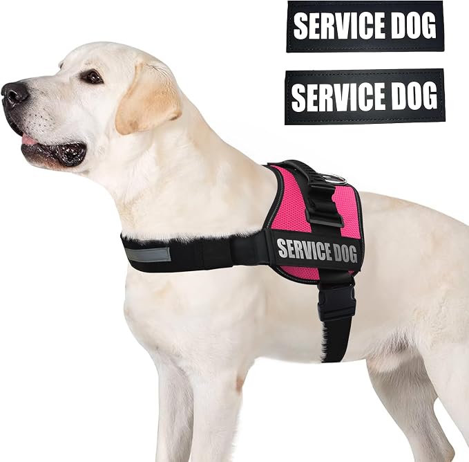 Service Dog Vest Harness – Reflective Service Animal Vest, No-Pull Harness with Handle & Mesh Padding – Sizes XXS-XL for Puppies – 2 Removable Service Patches Included (Extra Large, Pink)