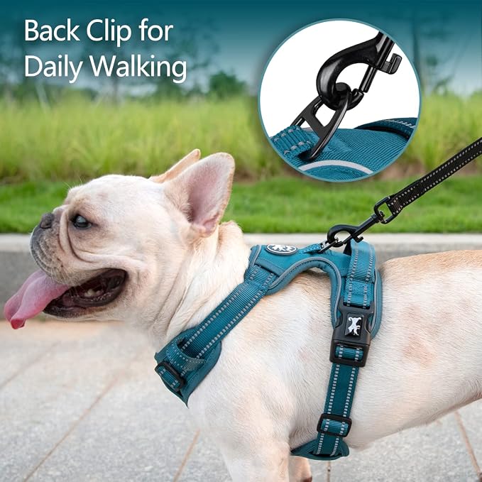 PoyPet No Pull Dog Harness, Reflective Vest with 2 Leash Clips & Handle | Lockable Neck Release Buckle, No Choke, Adjustable, Soft Padded, for Walking Training, Tumalo Teal, Large