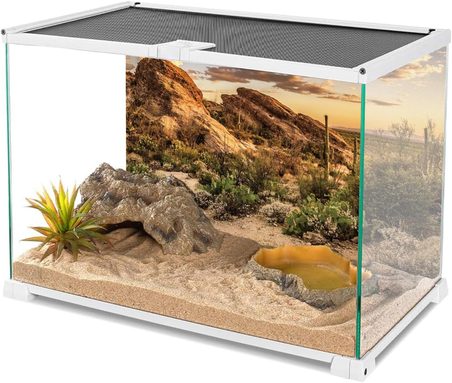 AWERT Reptile Habitat Background Blue Sky Oasis Cactus Sun and Desert Terrarium Background 36x20 inches Durable Polyester Background