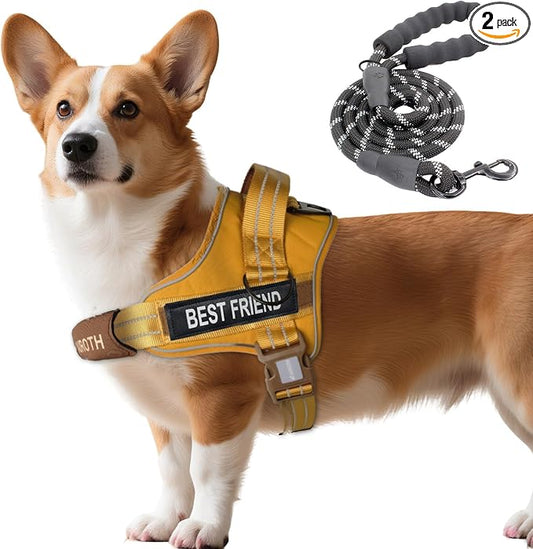 AUROTH Dog Harness and Leash Set Small Sized Dog, No Pull Escape Proof Vest | with Leash Clips, LED light clip, Breathable Mesh Padded No Choke, Easy Walking and Training, Turmeric, Small