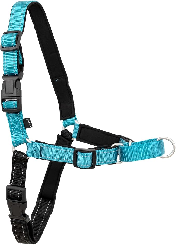 Petsafe Deluxe Easy Walk Harness, Large, Ocean Blue, EWH-D-HC-L-OCN | Padded Neoprene Straps, Reflective Strips for Night Safety, Martingale Loop Curbs Pulling from the Chest, Not the Throat