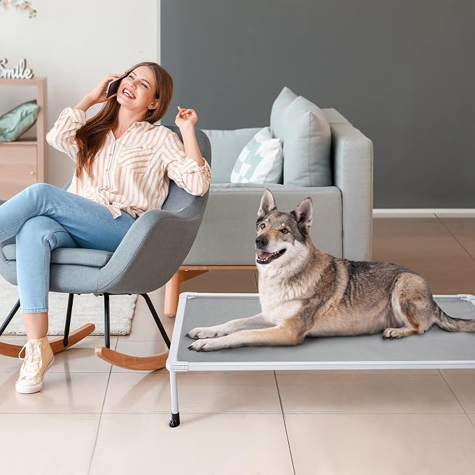 Veehoo Chewproof Elevated Dog Bed - Cooling Raised Pet Cot, Breathable Mesh, Washable & Non-Slip for Large Dogs, Indoor/Outdoor, Grey Mat and Metal Frame, 49x33inches (Model CWC2203B03)