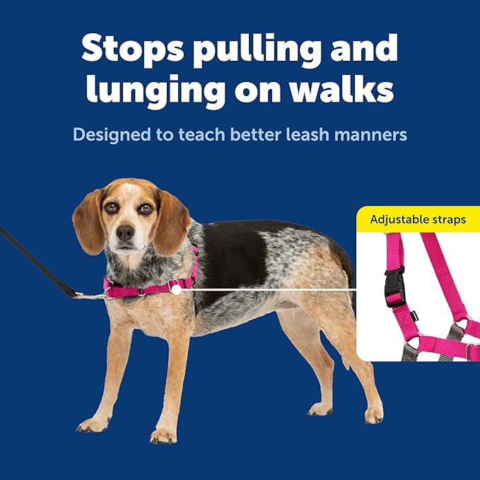 PetSafe Easy Walk Harness, No Pull Dog Harness, Raspberry, Small/Medium | Patented Martingale Loop Gives Gradual Shoulder Pressure to Stop Pulling, Front-Chest Leash Clip Prevents Gagging