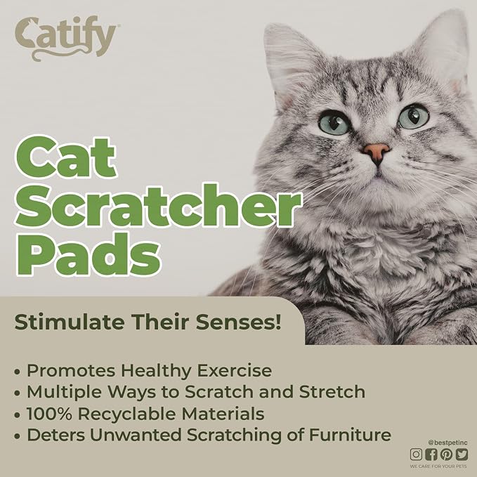 Best Pet Supplies Catify Cat Scratcher, Fun Interactive Scratchers, Posts, Poles, Claw Safe, Furniture Saver Indoor Play Support Natural Cat Behaviors Heavy Duty - Narrow (4 Pack)
