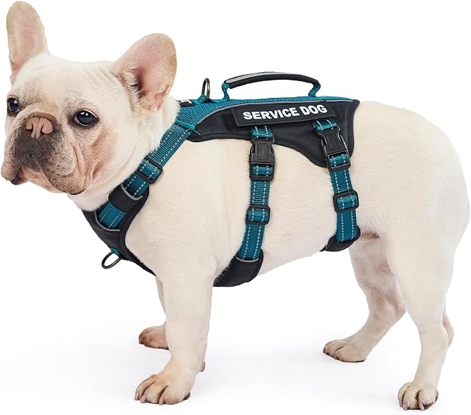 Service Dog Vest Harness, Escape Proof Harness with 6 Patches, No-Pull, Reflective Harness with Handle, Adjustable for Small to Large Dogs, for Training and Hiking (Teal, M)