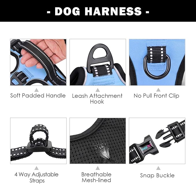 No Pull Dog Harness Reflective Adjustable Vest with Training Handle | Name ID Pocket, 2 Metal Leash Hooks, 3 Snap Buckles [Easy to Put on & Take Off](S, Baby Blue)