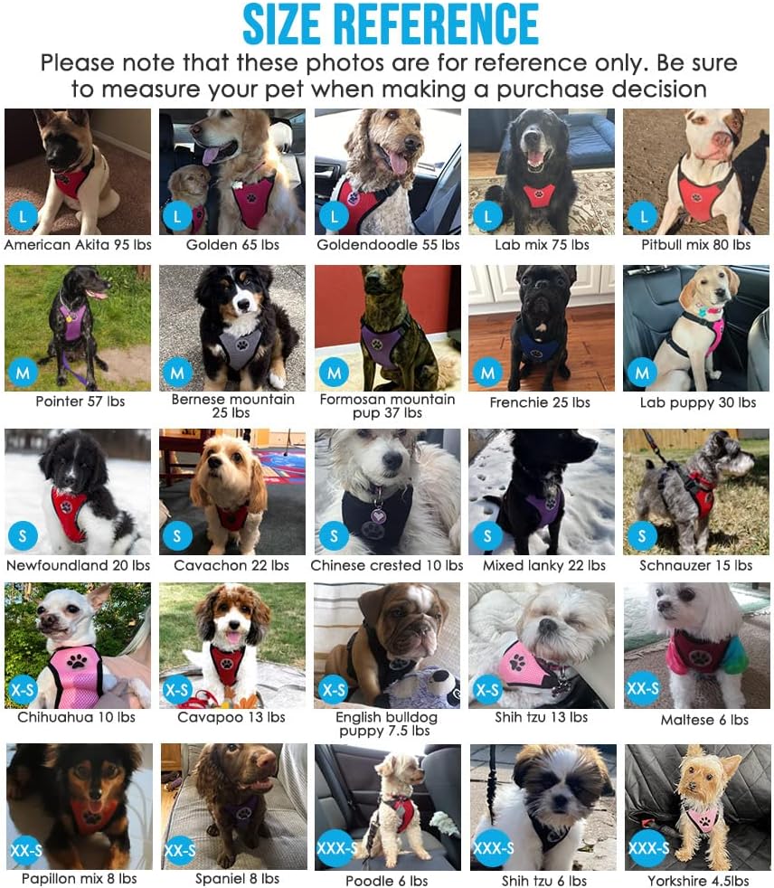 Lukovee Dog Seat Belt for Car, Adjustable Dog Car Harness for Large Medium Small Dogs, Soft Padded & Breathable Mesh Dog Seatbelt with Car Vehicle Connector Strap (Black,Medium)