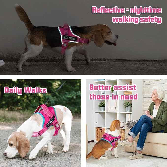 AUROTH Dog Harness and Leash Set Small Sized Dog, No Pull Escape Proof Vest | with Leash Clips, LED light clip, Breathable Mesh Padded No Choke, Easy Walking and Training, Rose Red, Small