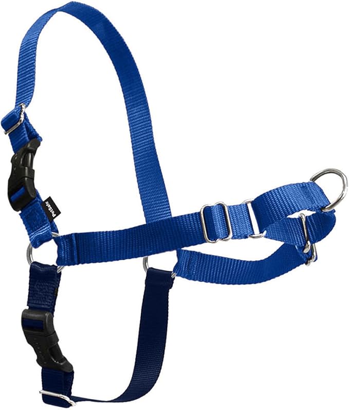PetSafe Easy Walk Harness, No Pull Dog Harness, Royal Blue, Small/Medium | Patented Martingale Loop Gives Gradual Shoulder Pressure to Stop Pulling, Front-Chest Leash Clip Prevents Gagging