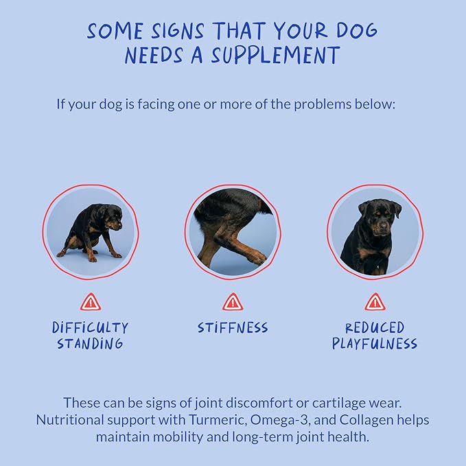 Turmeric Curcumin for Dogs - 90 Soft Chews - with Collagen, BioPerine and Fish Oil - Hip & Joint Support, Ease Inflammation, Antioxidant.