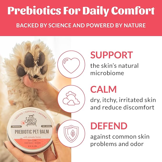 SKOUT'S HONOR Prebiotic Pet Balm - 100% Natural and Made w/Manuka Honey to Promote Healing of Your pet's paw Pads and Nose, Soothes Dry, Itchy Paws and Noses - Safe for Cats and Dogs, 0.7 oz, 6-Pack