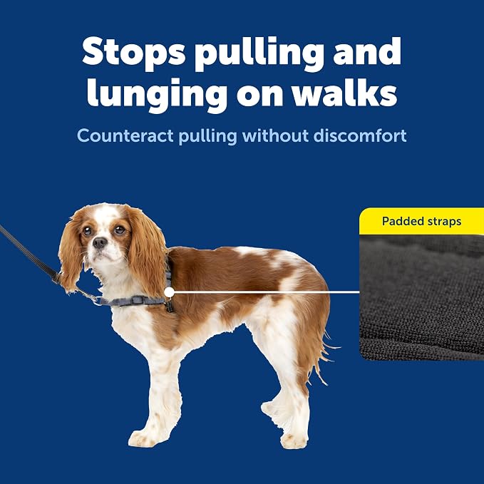 Petsafe Deluxe Easy Walk Harness, Small, Steel Gray, EWH-D-HC-S-STL | Padded Neoprene Straps, Reflective Strips for Night Safety, Martingale Loop Curbs Pulling from the Chest, Not the Throat