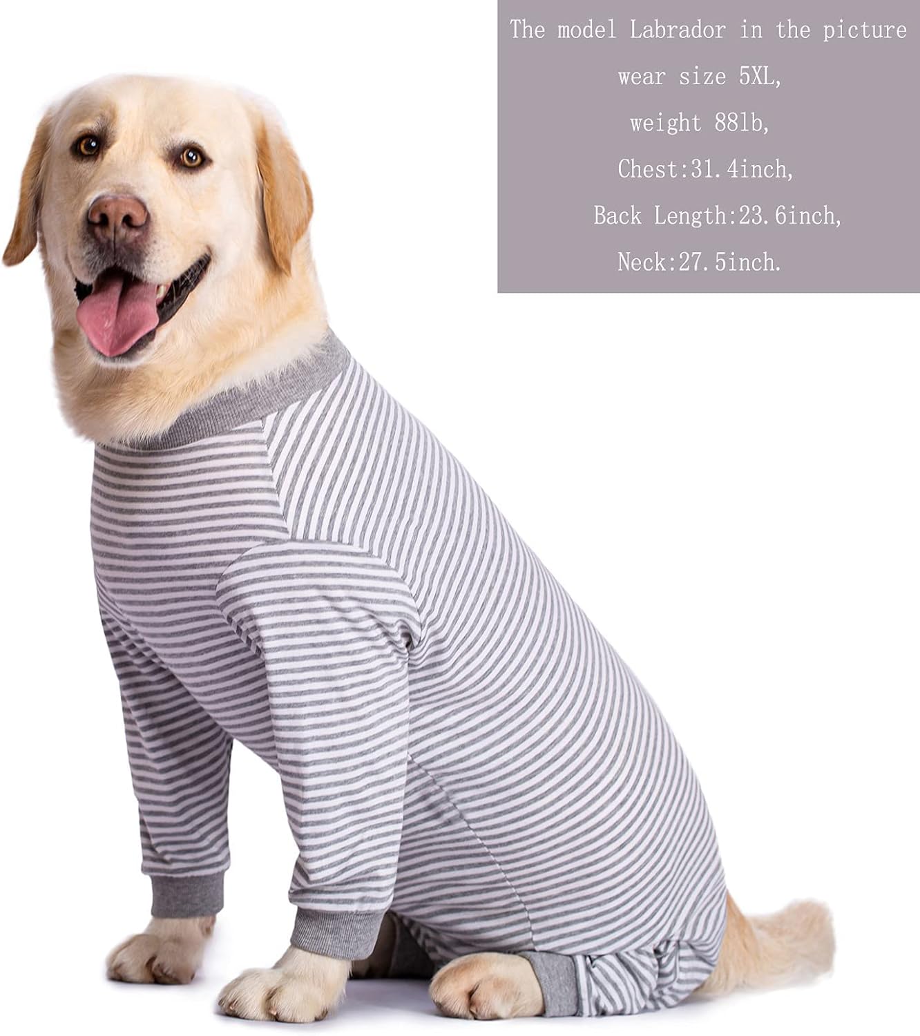 Yeapeeto Dog Onesie Surgery Recovery Suit for Large Medium Bodysuit Dogs Pajamas PJS Full Body for Shedding, Prevent Licking, Wound Protection, Cone Alternative (6X-Large (Pack of 1), Grey)