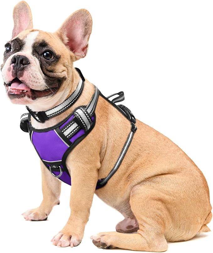Dog Harness No Pull, Pet Harnesses with Dog Collar, Adjustable Reflective Oxford Outdoor Vest, Front/Back Leash Clips for Small, Medium, Large, Extra Large Dogs, Easy Control Handle for Walking