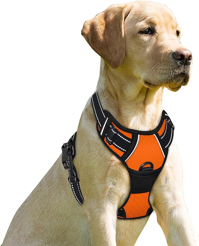 BARKBAY Dog Harness No Pull for Small Sized Dog Front Back Clips,Dog Vest | Soft Padded No Choke With Handle,Easy On&Off,Adjustable Reflective For Walking Training Running(Orange,XS)