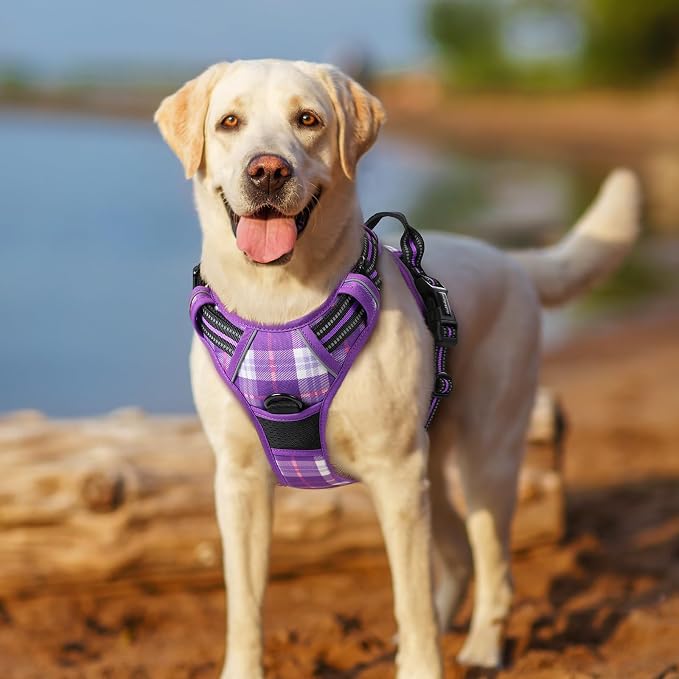 rabbitgoo Dog Harness, No Pull for Small Dogs with 2 Leash Clips, Pet Vest | No Choke with Handle, Adjustable Soft Padded, Reflective, Easy Control for Walking, Purple Plaid, Small