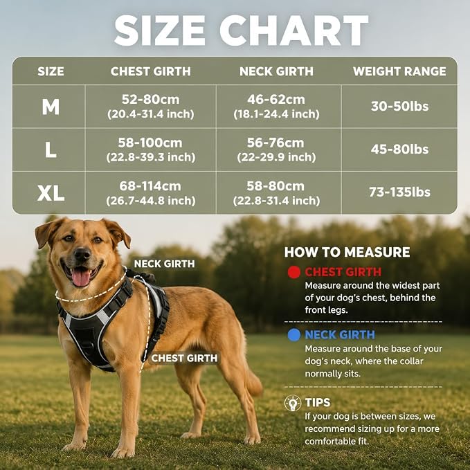 Tactical Dog Harness with Handles and Loop Panel,No Pull Tactical Dog Vest with Molle System, Adjustable Reflective Pet Vest for Walking Hiking Training Black L
