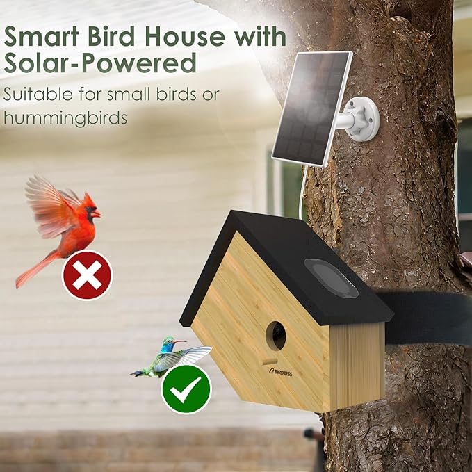 Birdkiss Smart Hummingbird House with Camera Solar Powered, 3MP HD Live View Birdhouse for Outside, Viewing Bird Nesting and Hatching, Ideal Outdoors Gift for Mom and Bird Lover (Black)