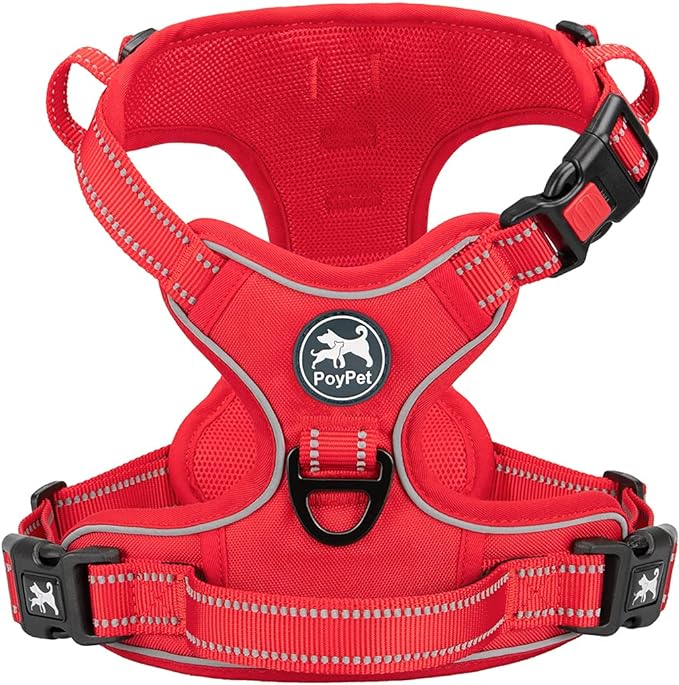 PoyPet No Pull Dog Harness, Reflective Vest with 2 Leash Clips & Handle | Lockable Neck Release Buckle, No Choke, Adjustable, Soft Padded, for Walking Training, Red Matching Trim, Small