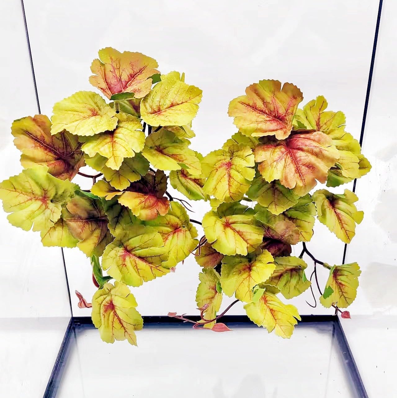 Reptile Plants for Terrarium, Amphibian Habitat Decor Artificial Hanging Plants with Suction Cup, Artificial Plants for Gecko Chameleon Snake Tortoise Tank Accessories. 2 Pack (FL-7)