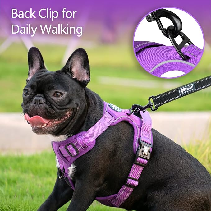 PoyPet No Pull Dog Harness, Reflective Vest with 2 Leash Clips & Handle | Lockable Neck Release Buckle, No Choke, Adjustable, Soft Padded, for Walking Training, Purple Matching Trim, Medium