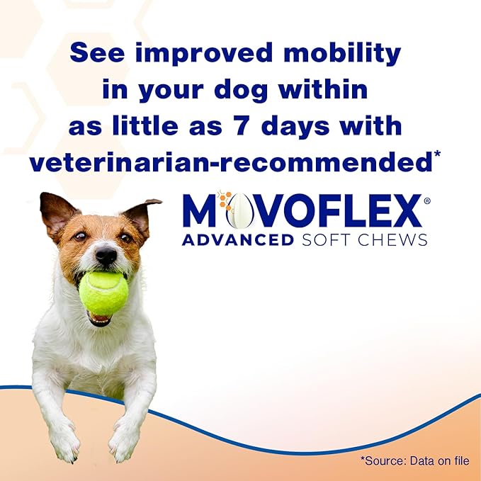 MOVOFLEX Advanced Soft Chews Hip and Joint Support Supplement for Medium Dogs 120 Count by Virbac