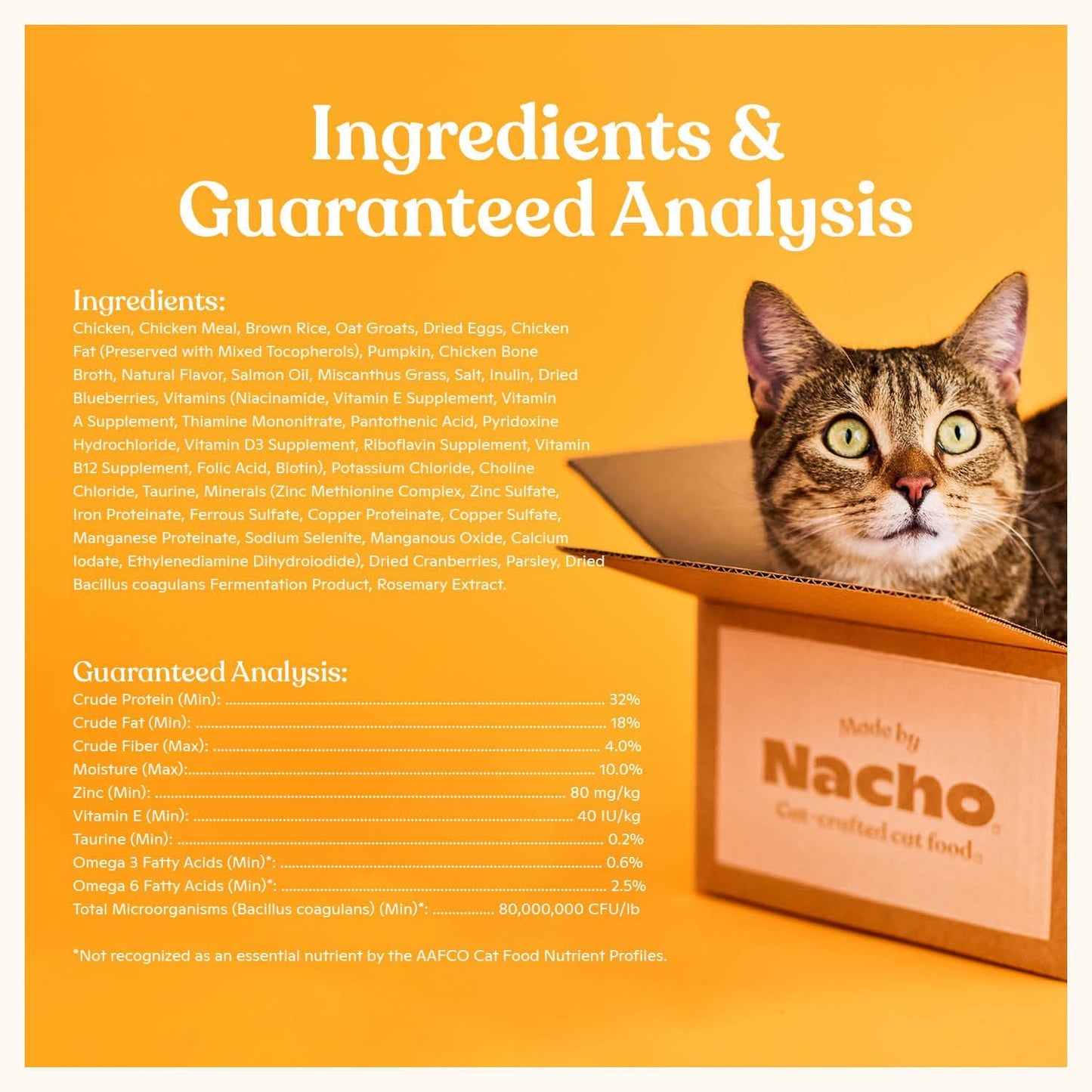 Made by Nacho Dry Cat Kibble 11lb Bag, High Protein and Grain-Friendly Premium Cat Food, Cage-Free Chicken & Pumpkin Recipe, Infused with Bone Broth for Hydration, Limited Ingredients, Single Bag