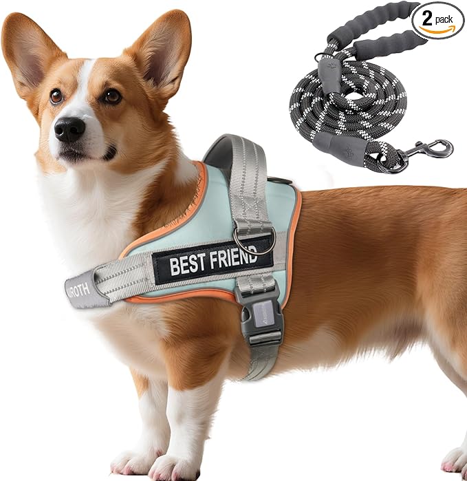 AUROTH Dog Harness and Leash Set Small Sized Dog, No Pull Escape Proof Vest | with Leash Clips, LED light clip, Breathable Mesh Padded No Choke, Easy Walking and Training, Macaron Blue, Small